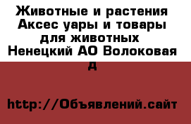 Животные и растения Аксесcуары и товары для животных. Ненецкий АО,Волоковая д.